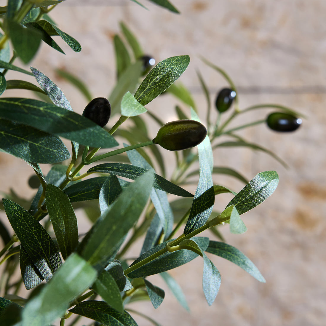 The Faux Olive Tree