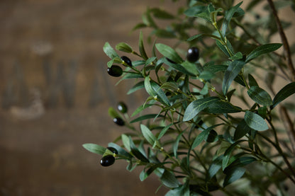 The Faux Olive Tree